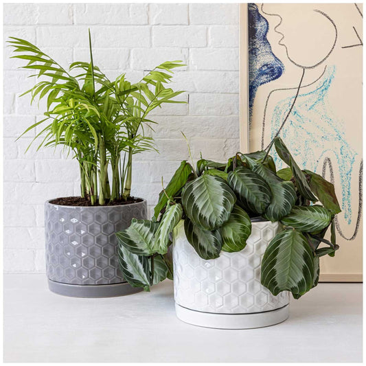 over&back Honeycomb Ceramic Planters Set Of 2 White Grey Glossy Textured Pots with Saucers