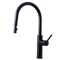 Titan Essentials Lite Gooseneck Pull Out Kitchen Mixer Tap - True Matte Black PVD, 6 Star WELS - TTBSXP