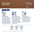 Dulux 300g Rust Effects Spray Paint, Decorative Rust Finish for Metal, Wood & Plastic