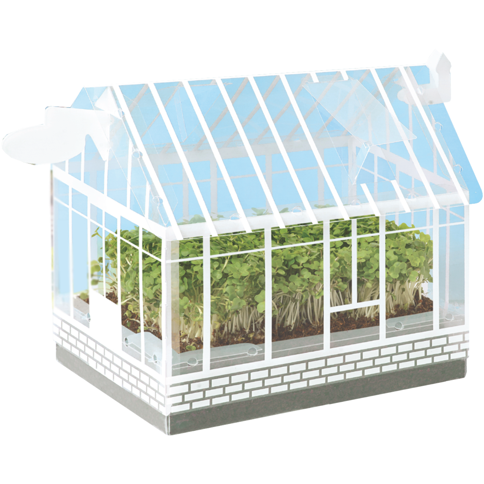 Mr Fothergill's Little Gardeners Mini Greenhouse Kit Plastic