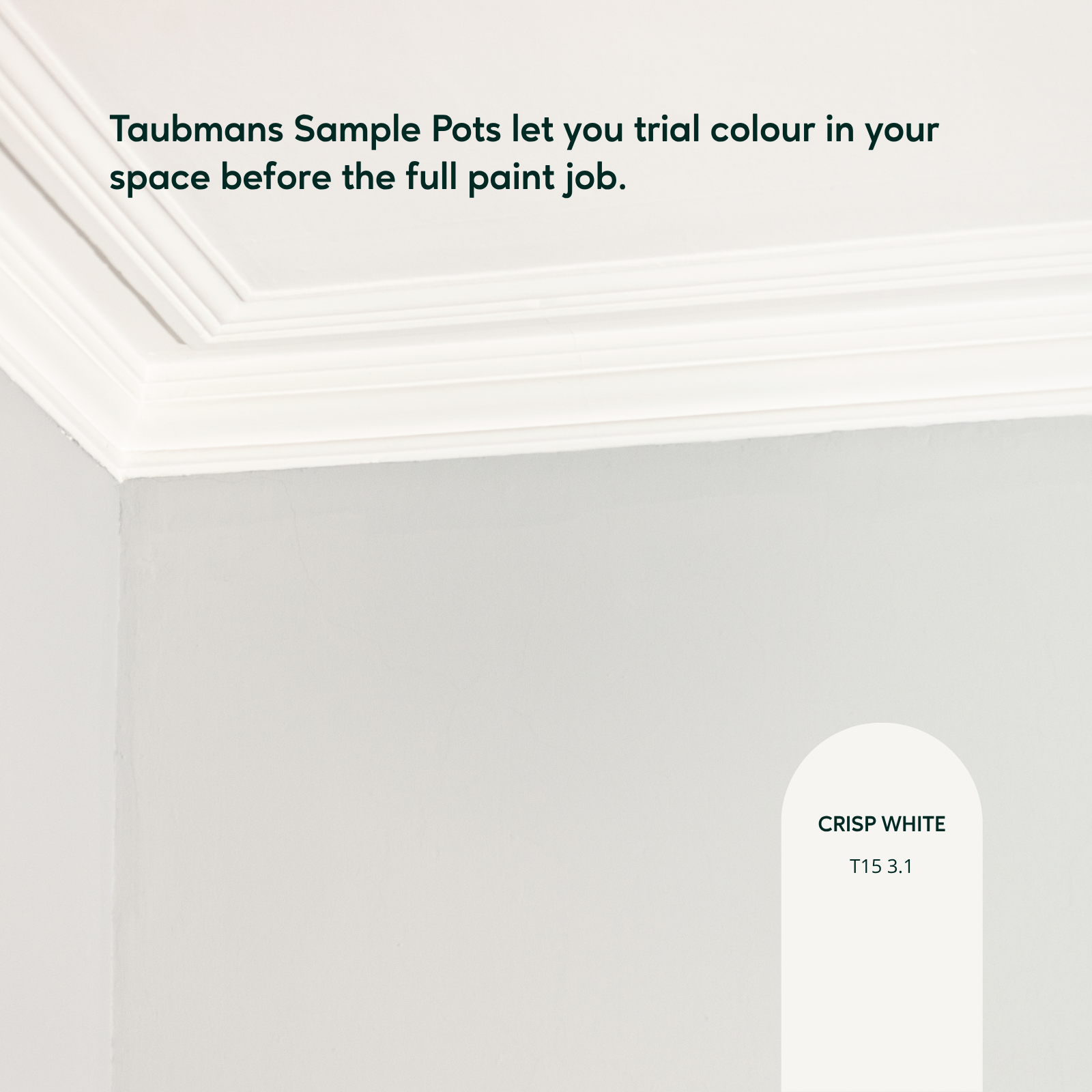Taubmans White 250ml Sample Pot, Water Based Acrylic, Splatter Resistant Tintable