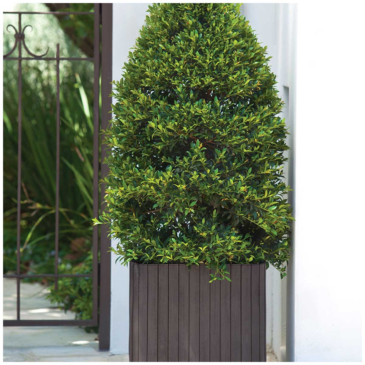 Keter Cube Planter Small And Medium 2 Piece Set - Weatherproof, UV Protected, Matte Finish, No Assembly Required