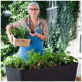 Keter Brown Raised Planter Bed Easy Grow Compact Water Reservoir Garden — image 2