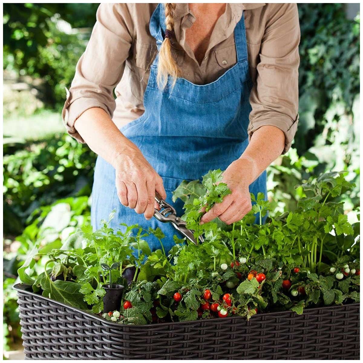 Keter Brown Raised Planter Bed Easy Grow Compact Water Reservoir Garden — image 4