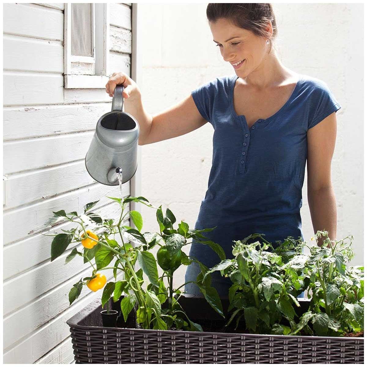 Keter Brown Raised Planter Bed Easy Grow Compact Water Reservoir Garden — image 5