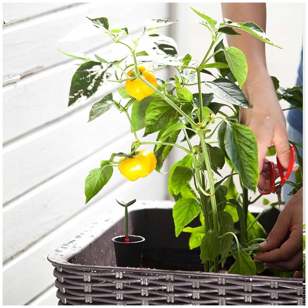Keter Brown Raised Planter Bed Easy Grow Compact Water Reservoir Garden — image 6