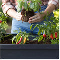 Keter Alfresco Garden Bed Black