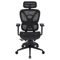 ONEX AIRNEST Mesh Office Chair