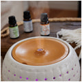 Ellia Ultrasonic Wi-Fi Diffuser 200ml White - App Control, Colour Changing Light - SuperSaverAU - view 6