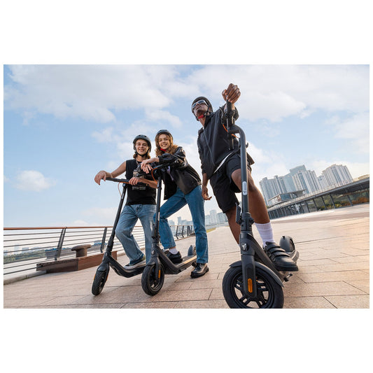 Segway E2 Pro Electric Scooter SEGW-E2-PRO, 25 km/h, 27 km Range, 750W Power, IPX6 Battery