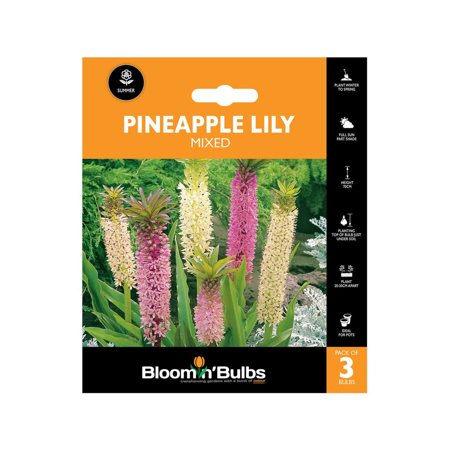 Bloomin Bulbs Pineapple Lily Mixed 3 Pack - 3 Pack - 60-90cm - Pastel Flowers - SuperSaverAU - view 1