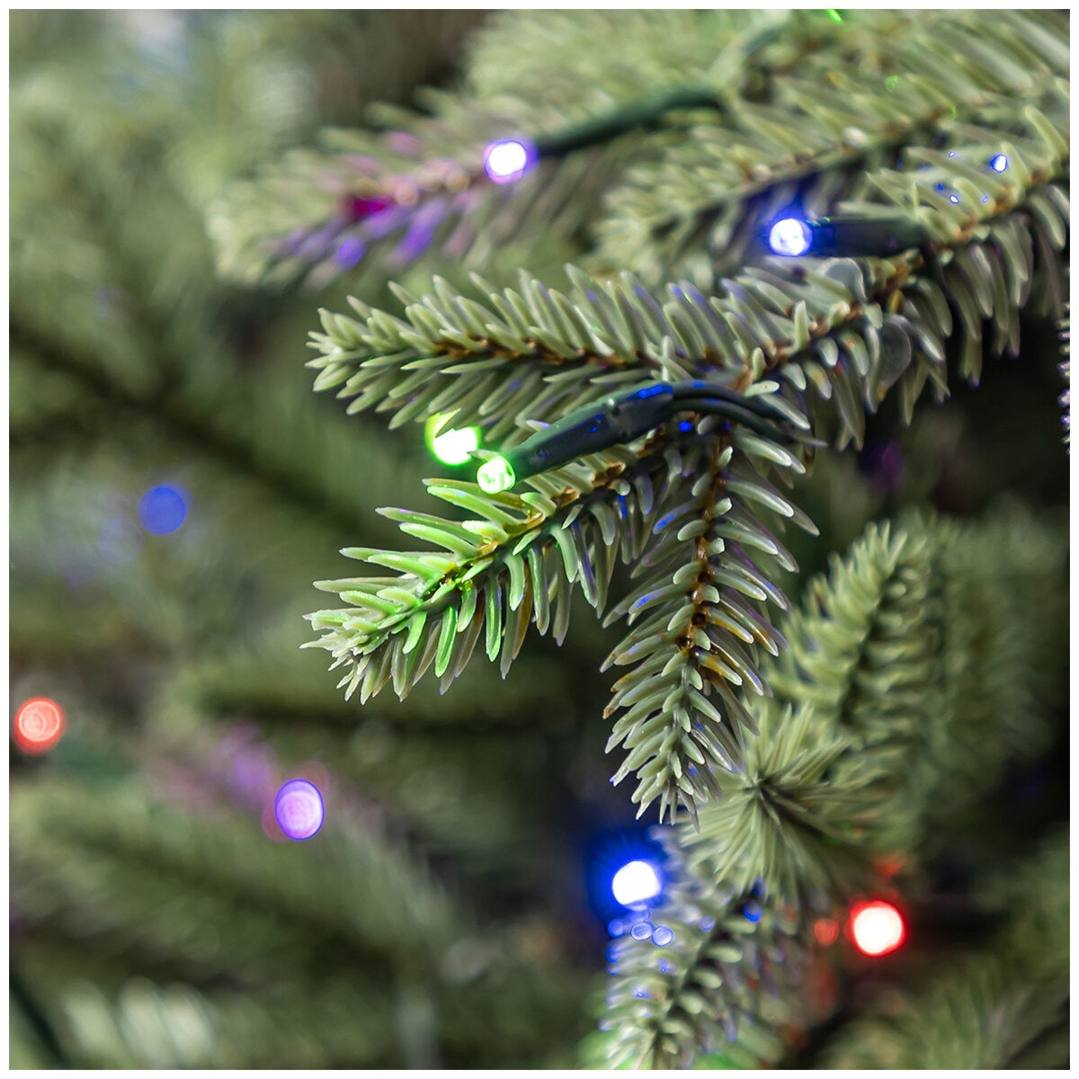 Pre-Lit Aspen Artificial Christmas Tree 3.66M, 4430 LED, EZ Connect, Model TGC0P4826D95