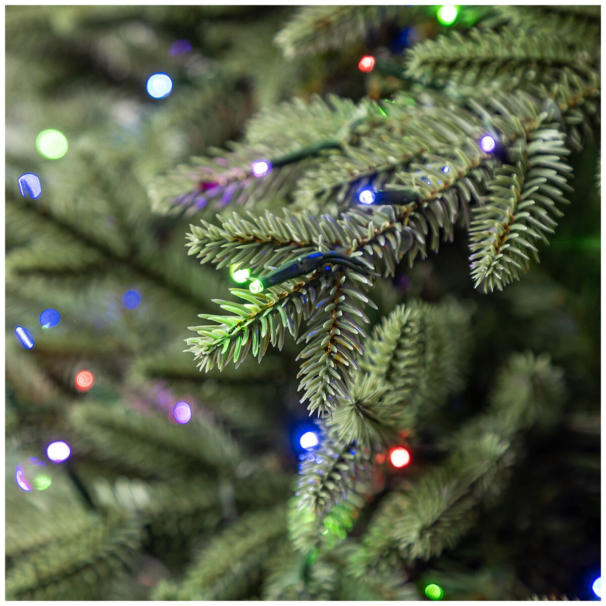 Pre-Lit Aspen Artificial Christmas Tree 4.58M, LED Lights, Model TGF0P4826D82