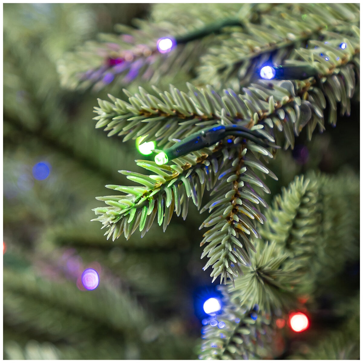 Pre-Lit Aspen Artificial Christmas Tree 2.74M TG90P4826DE2, 2,700 LED Lights, 11 Functions