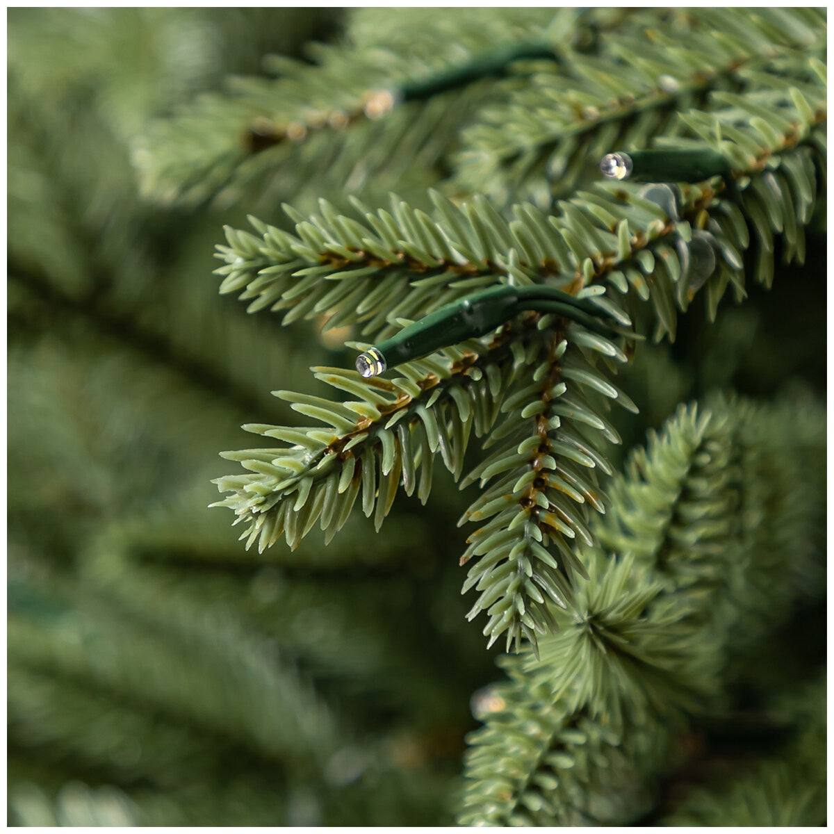 Pre-Lit Aspen Artificial Christmas Tree 2.74M TG90P4826DE2, 2,700 LED Lights, 11 Functions