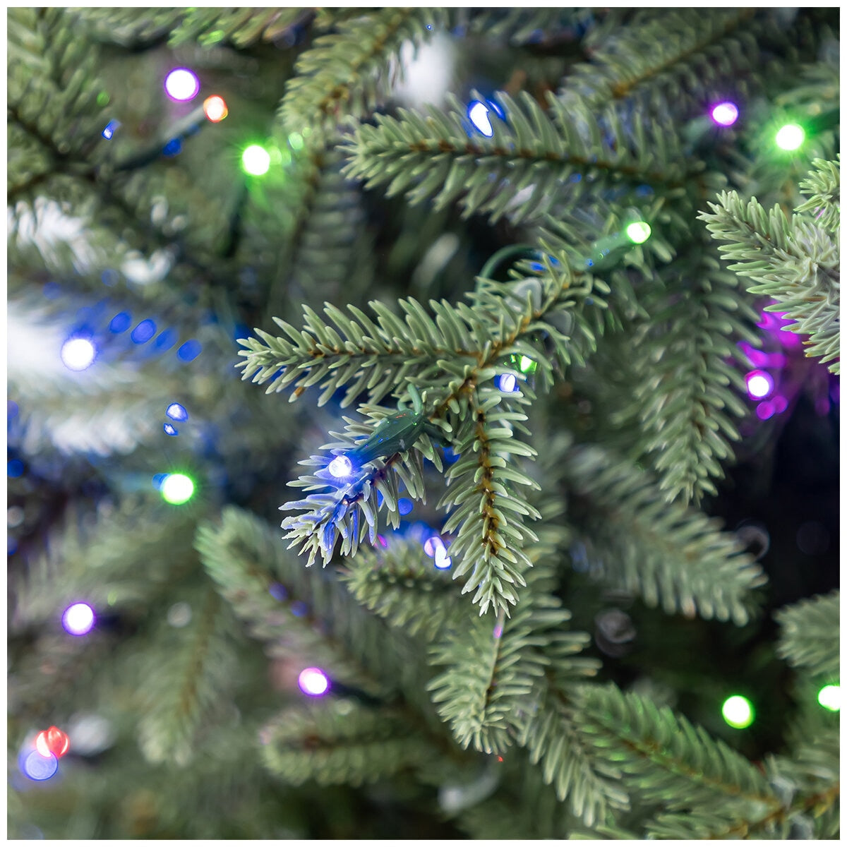 Pre-Lit Slim Aspen Artificial Christmas Tree 1.98M, 1,200 LED Lights, Model TG66P4826DA0