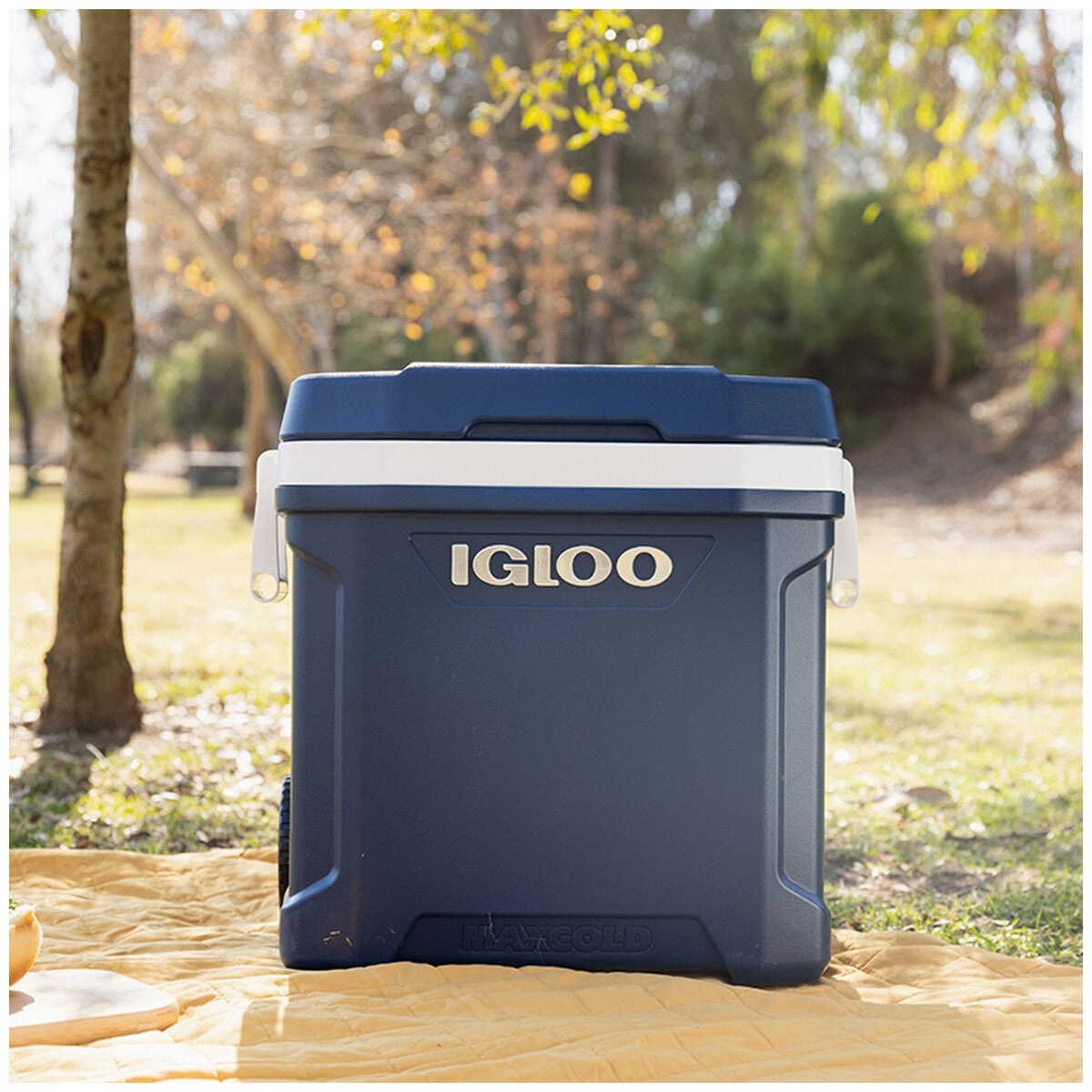 Igloo MaxCold 58.6L Wheeled Cooler with Softride Wheels & Locking Handle - SuperSaverAU - view 9