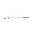 Zenith M16 x 260mm Hot Dip Galvanised Cup Head Bolt and Nut - Each