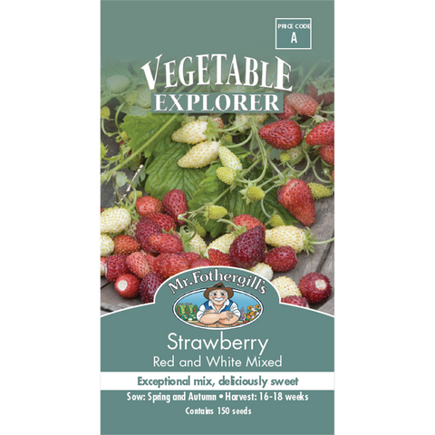 Mr Fothergill Strawberry Seeds - 75mm - Seeds - High Yielding - SuperSaverAU - view 1