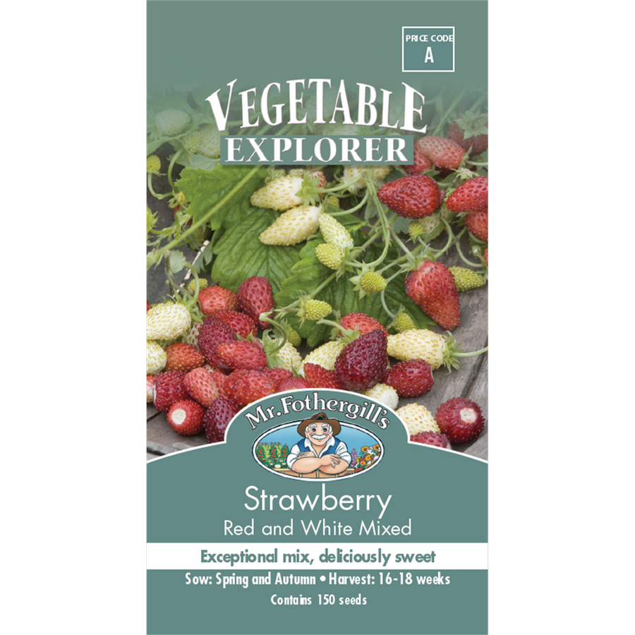 Mr Fothergill Strawberry Seeds - 75mm - Seeds - High Yielding - SuperSaverAU - view 1