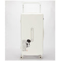 Disney Mickey Trunk style Trolley Case 79cm