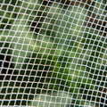 Backyard Farmer Anti Bird Net - 2.5m x 2.5m - White - UV-Resistant HDPE - SuperSaverAU - view 2