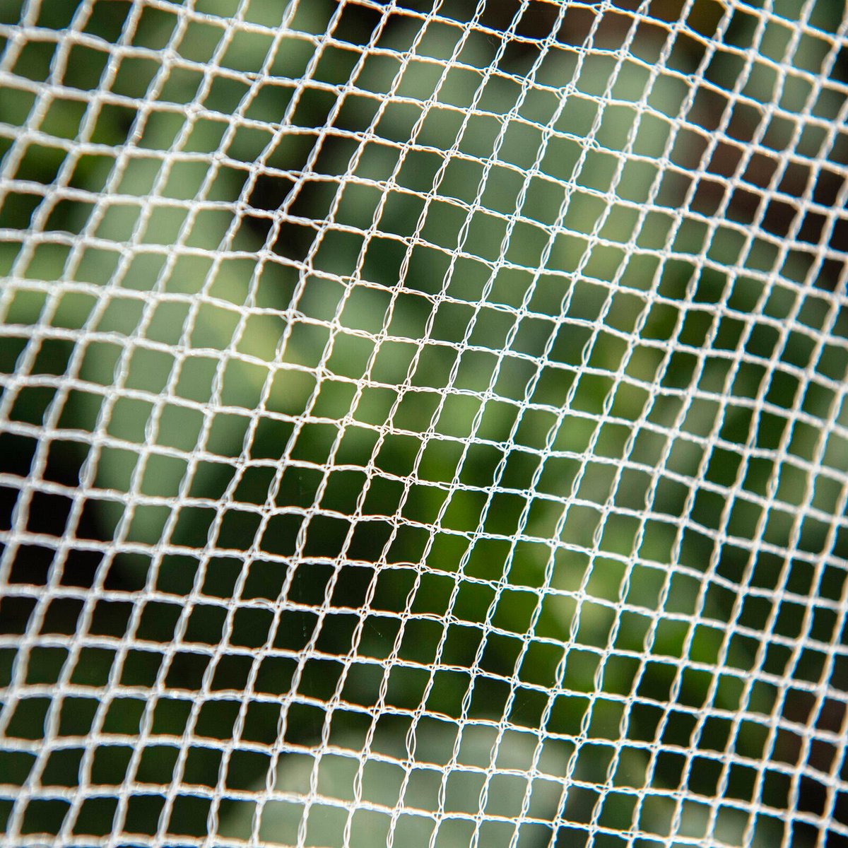 Backyard Farmer Anti Bird Net - 2.5m x 2.5m - White - UV-Resistant HDPE - SuperSaverAU - view 2
