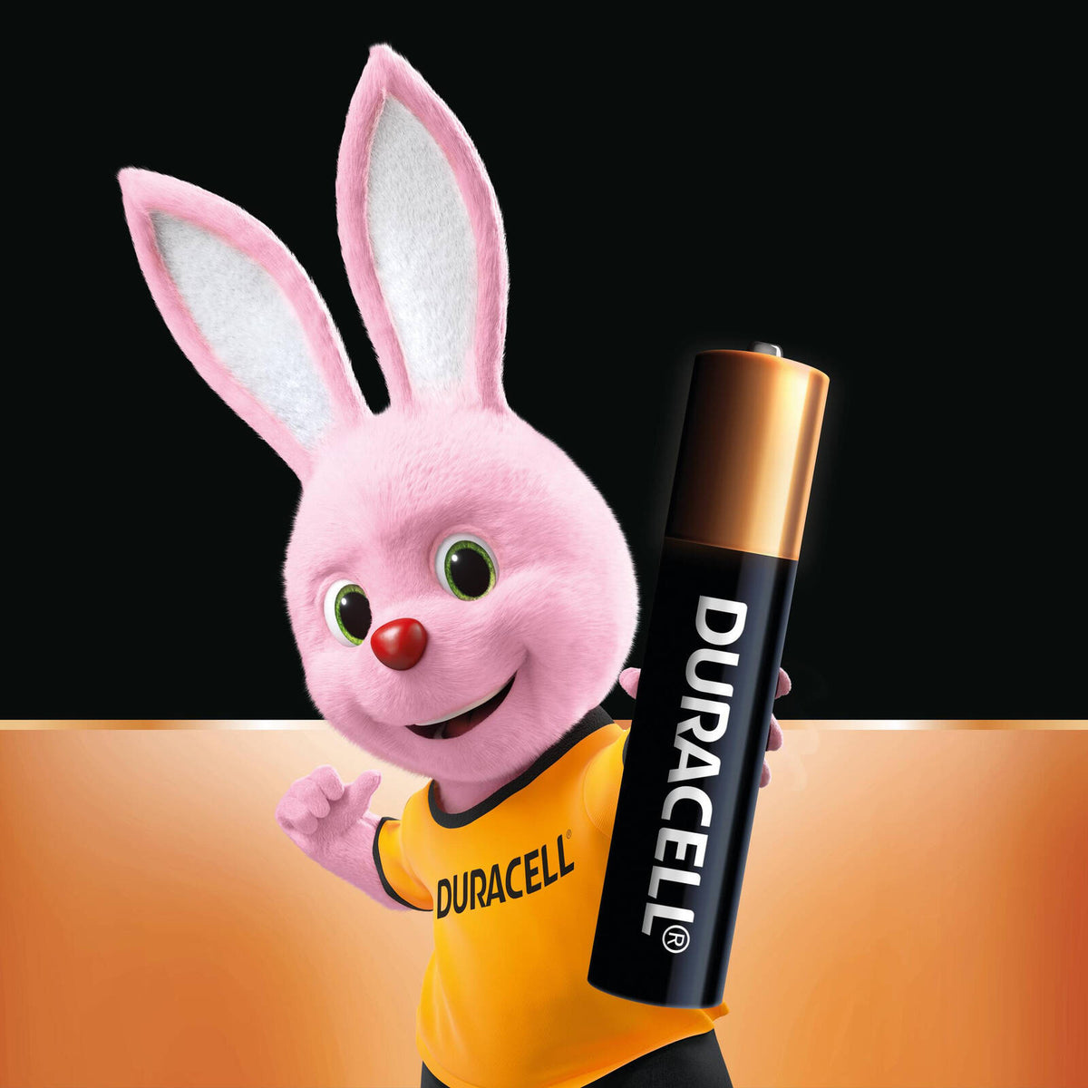 Duracell Specialty AAAA E96 1.5V Alkaline Batteries - 2 Pack