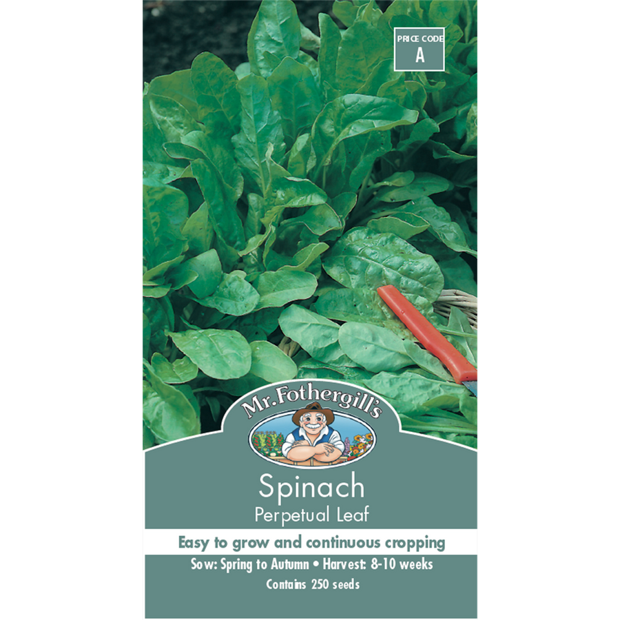 Mr Fothergill Spinach Seeds 75mm x 5mm Nutritious Greens Fast Growth - SuperSaverAU - view 1