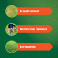 Hortico 500g Couch Lawn Seed, Drought Tolerant Warm Season Grass, Covers 50sqm