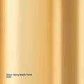Dulux Effects 300g Gold Bright Finish Spray Paint for Decor & Craft