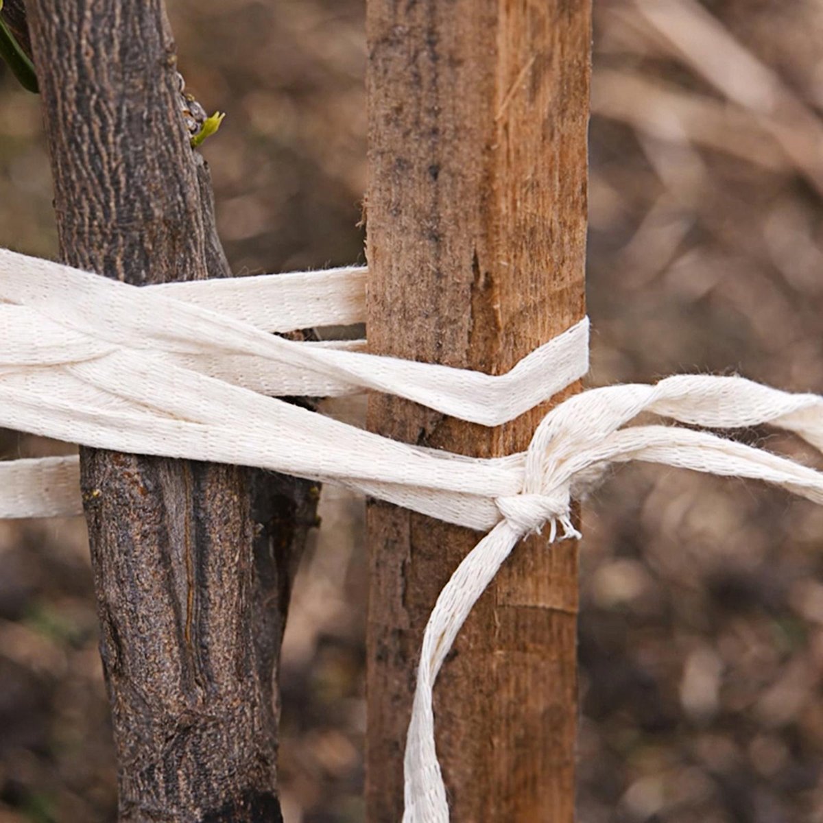 Jack Enviro Tie 40m Cotton Plant Tie - Strong - Biodegradable - Beige - SuperSaverAU - view 2