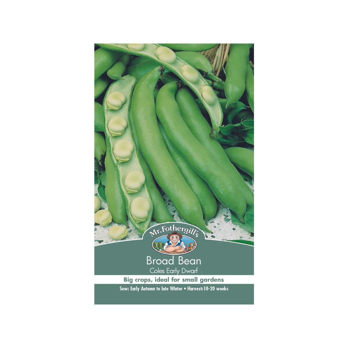 Mr Fothergill Broad Bean Seeds - 20 Weeks - Hardy - High Yield - SuperSaverAU - view 1