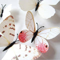 3D Butterfly Magnetic Wall Stickers Room Decor - 7005, Pack of 12 - view 5