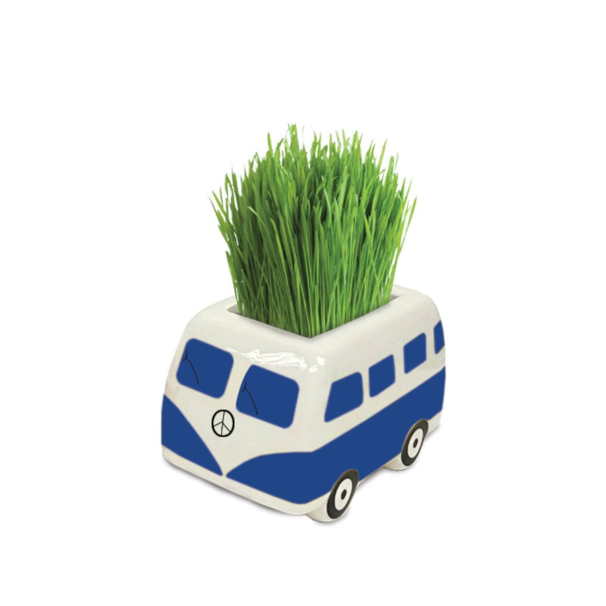 Mr Fothergill's Blue Good Vibes Minivan Grow Kit - 1 Kit - 80mm x 50mm x 45mm - Fast-Sprouting Plant - SuperSaverAU - view 2