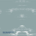 Dulux Chalky Classic 340g Duck Egg Blue Spray Paint, Matte Chalk Finish for Furniture & Decor