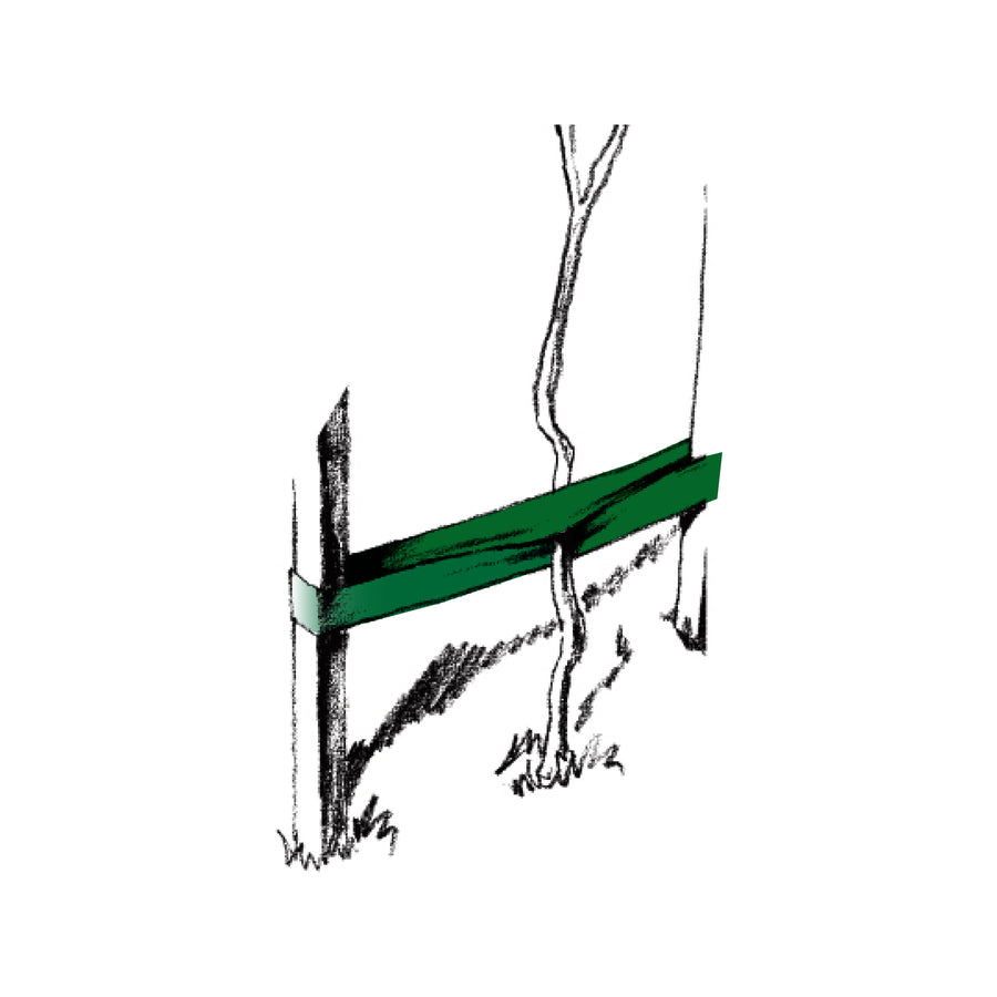 Jack 60m Green Poly-Woven Garden Shrub Tie