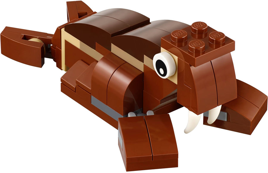 LEGO 40276 Walrus - Promotional Set - SuperSaverAU - view 1