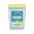 Hy-Clor Salt Activ Salt Boost 2kg Chlorine Booster for Salt Pools