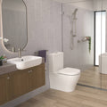 Caroma Luna Basin Mixer Brushed Nickel Lead Free Brass WELS 6 Star 4.5L/min