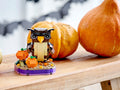 LEGO 40497 Halloween Owl Set - SuperSaverAU - view 3