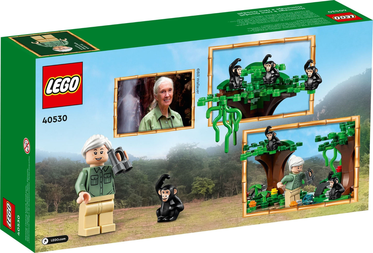 LEGO 40530 Jane Goodall Tribute Set