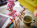 LEGO LEL Series 40725 Cherry Blossoms- Auzzi Store