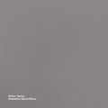 Dulux 300g Stainless Steel Effect Spray Paint, Decorative Metallic Finish for Metal, Wood & Plastic