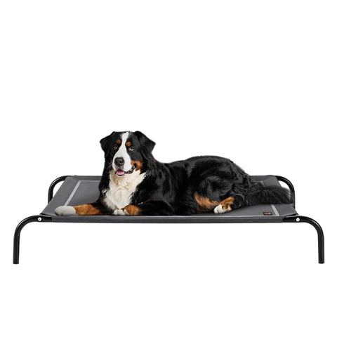 Cooling Elevated Dog Bed - Grey, XXL 137 x 90 x 20cm - Breathable Textilene Mesh, Skid Resistant Feet, Holds 60kg