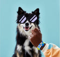 LEGO DOTS 41801 My Pets Bracelet Jewellery Kit for Kids - SuperSaverAU - view 5