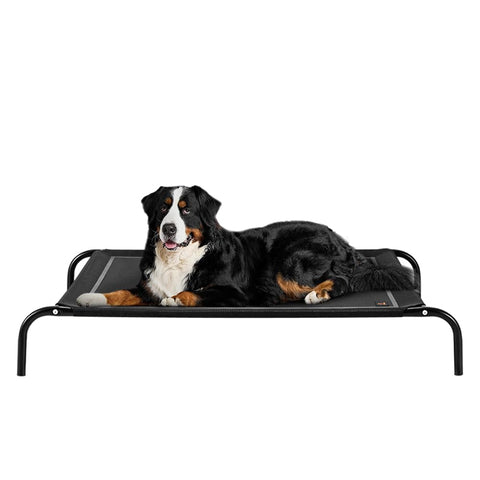 Cooling Elevated Dog Bed - Black, XXL 137 x 90 x 20cm - Breathable Textilene Mesh, Skid Resistant Feet, Holds 60kg