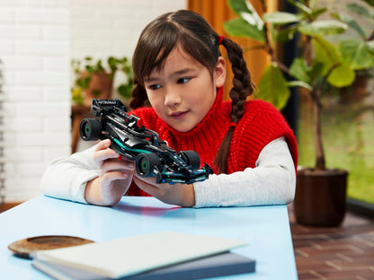 LEGO 42165 Mercedes-AMG F1 W14 E Performance Pull-Back Car