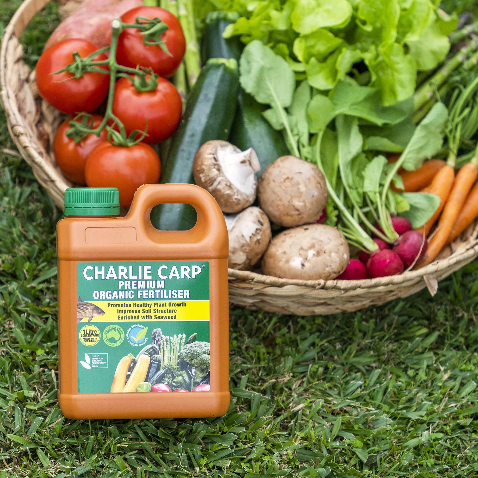 Charlie Carp Premium Organic Fertiliser Concentrate 1L - With Seaweed