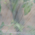 Backyard Farmer Netting Bag 25 Pack - 20 x 30cm - Crop Protection - SuperSaverAU - view 2